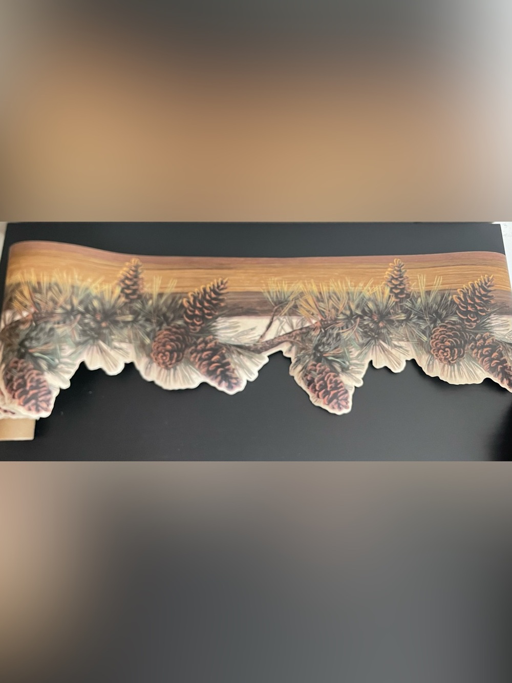 5 Chesapeake Pinecone Wall Border Rolls